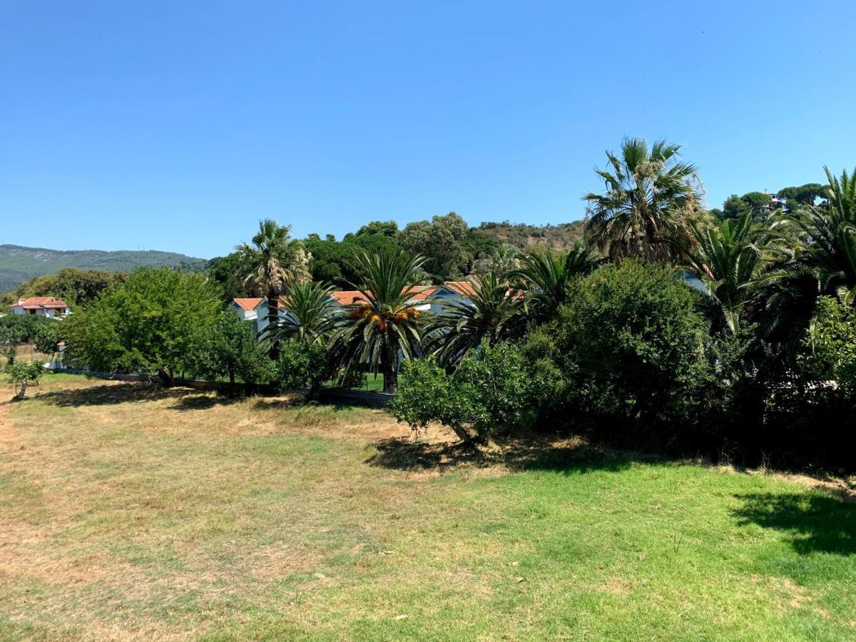 Villas Alexandra Skiathos Platanias  외부 사진