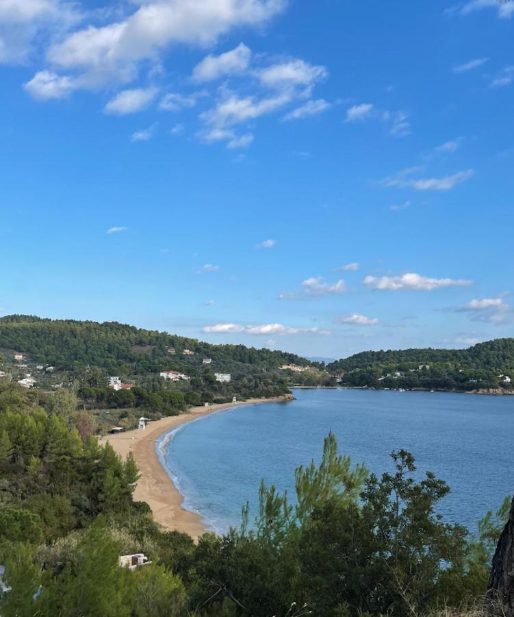 Villas Alexandra Skiathos Platanias  외부 사진
