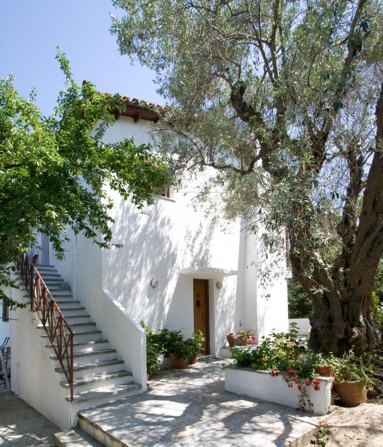 Villas Alexandra Skiathos Platanias  외부 사진