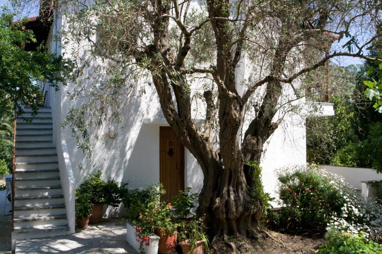 Villas Alexandra Skiathos Platanias  외부 사진